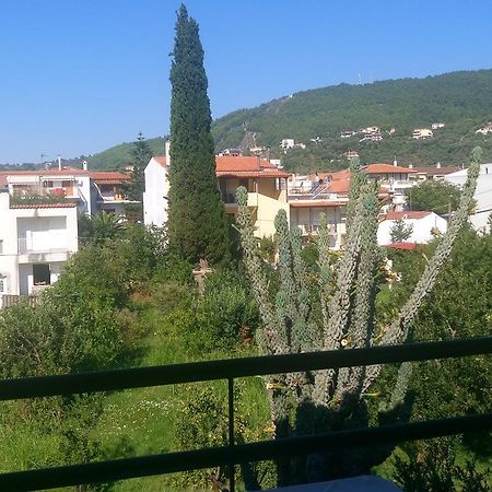 Pansion Chrisa Hotel Skiathos Exterior foto